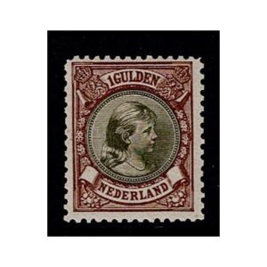 1896 1gld hangend haar nr. 46
